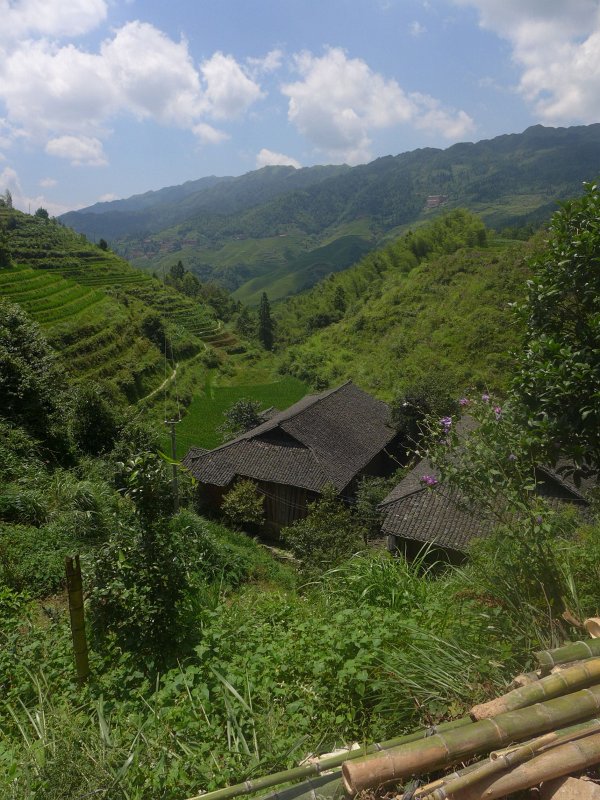 P1030432