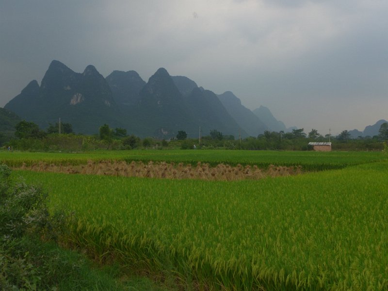 P1030533