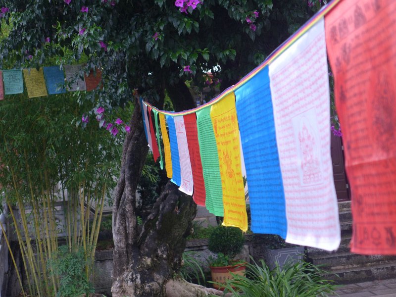 P1040382