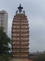 P1050024