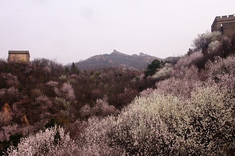 IMGP0944