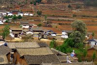 IMGP2375_P1150257