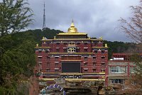 IMGP2387_P1150330
