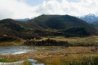 IMGP2537