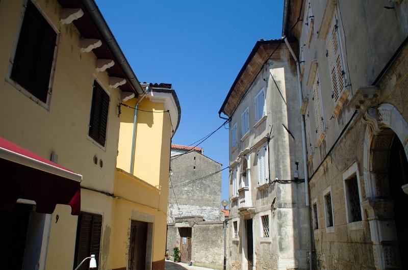 IMGP3667