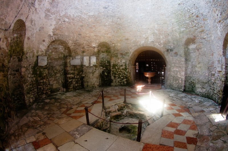 IMGP3676