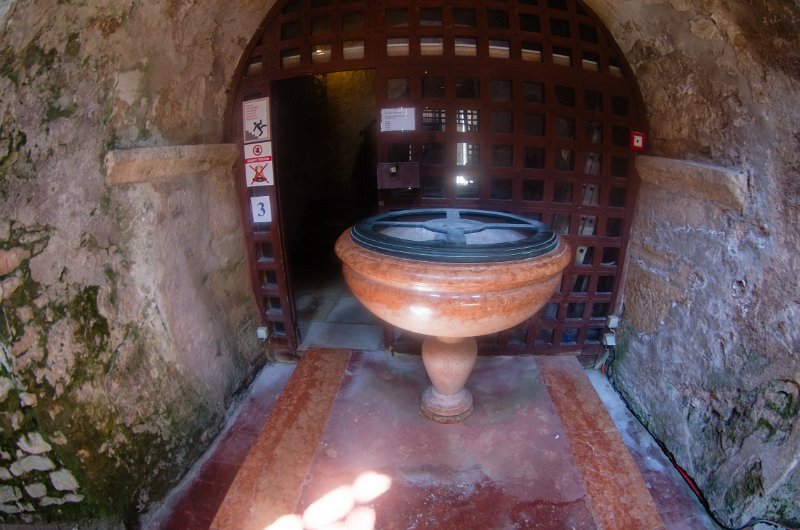IMGP3679