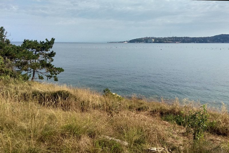 IMG_20180722_091425_HDR