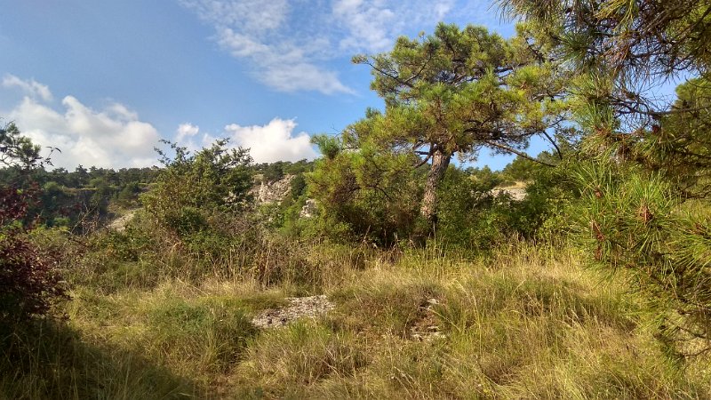 IMG_20180722_091433_HDR