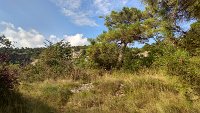 IMG_20180722_091433_HDR