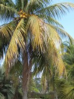 IMG_5815