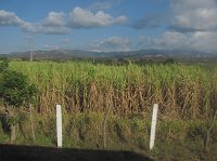 IMG_7370