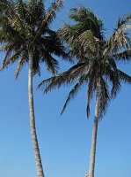 IMG_7717