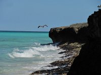 IMG_7730