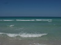 IMG_7794
