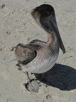 IMG_7801