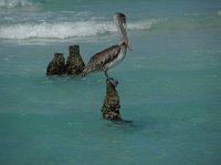 IMG_7803