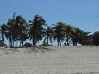 IMG_7809
