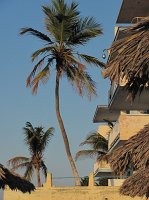 IMG_7899