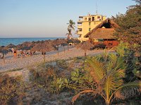 IMG_7911
