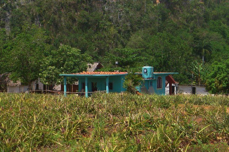 P1120579