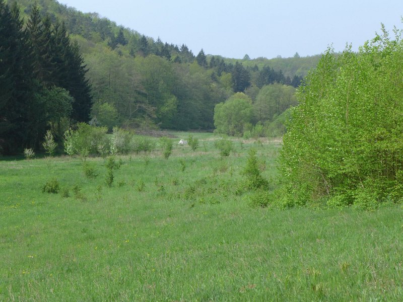 P1000073