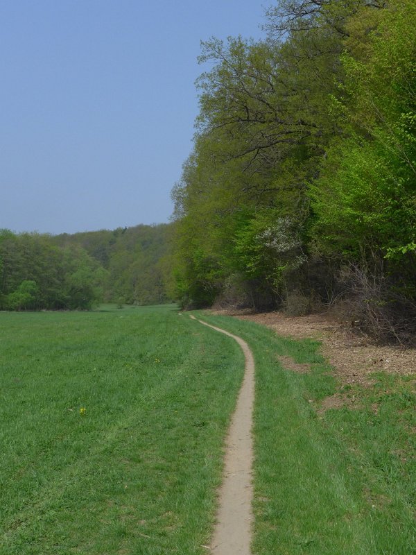 P1000077