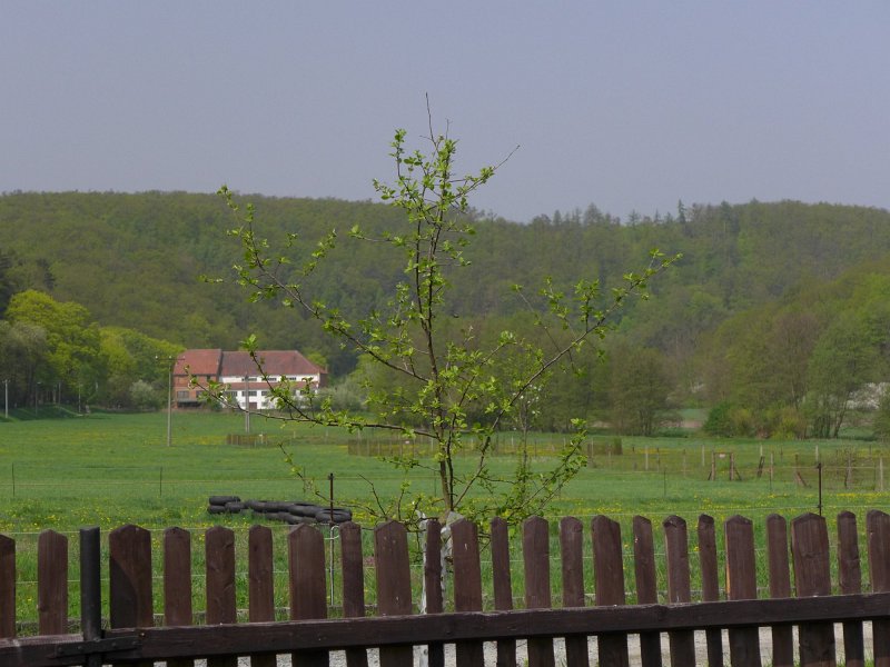 P1000078