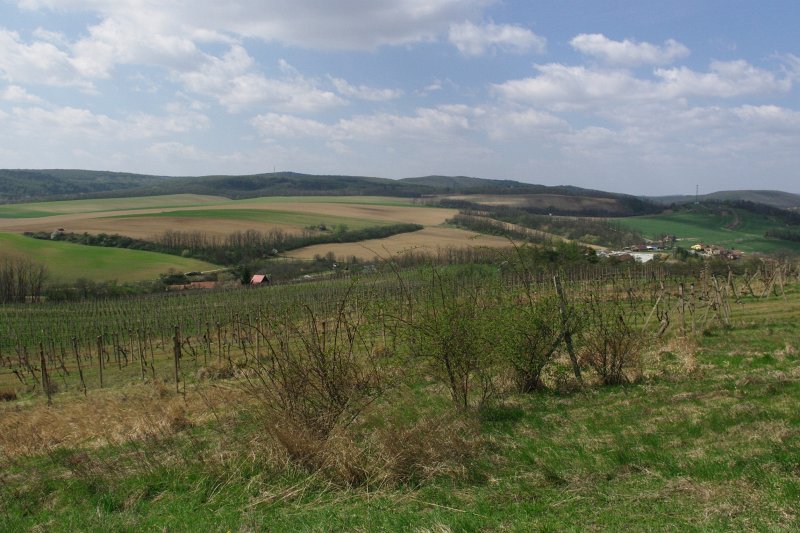 IMGP7857