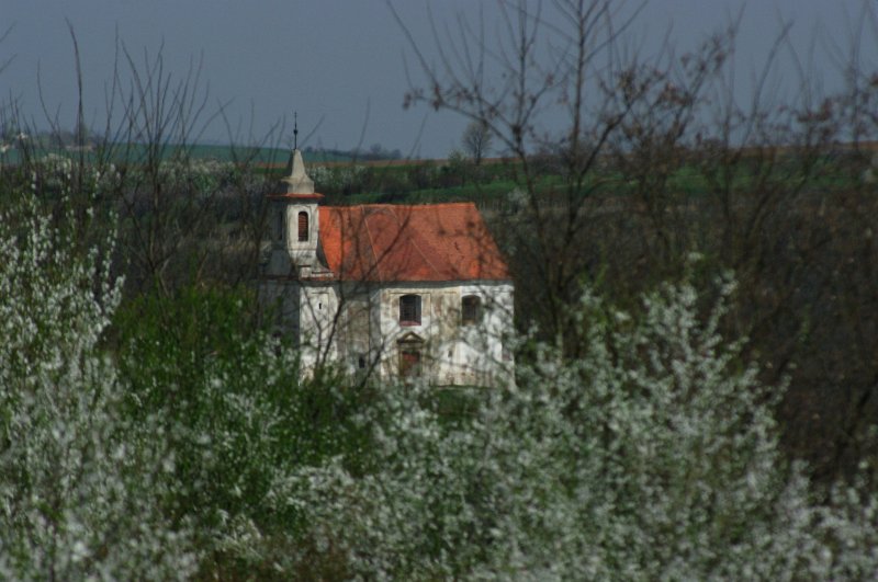 IMGP7864