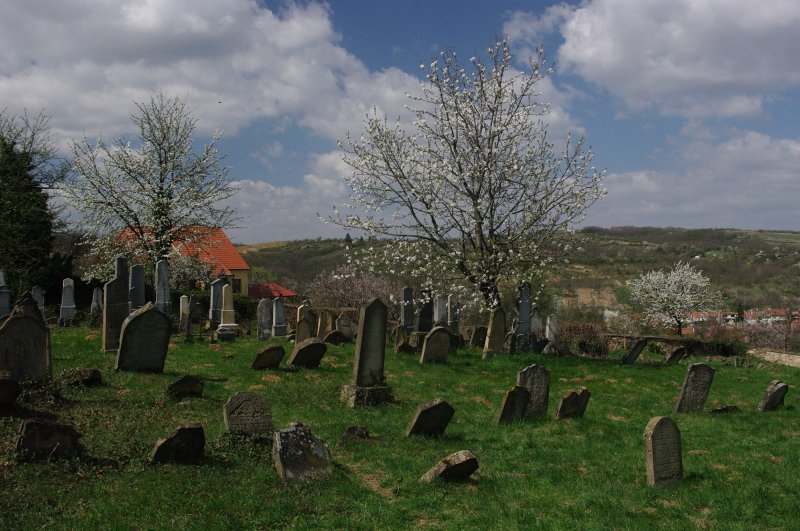 IMGP7869