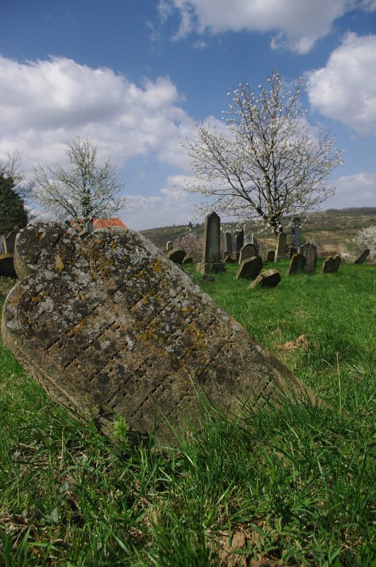 IMGP7870