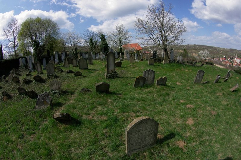 IMGP7873
