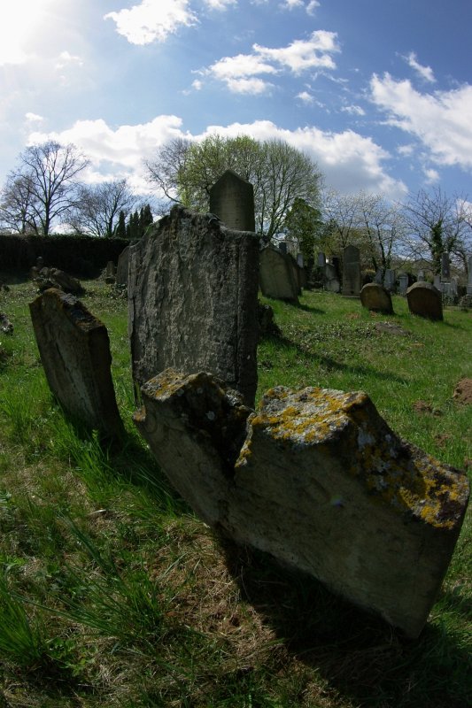 IMGP7874
