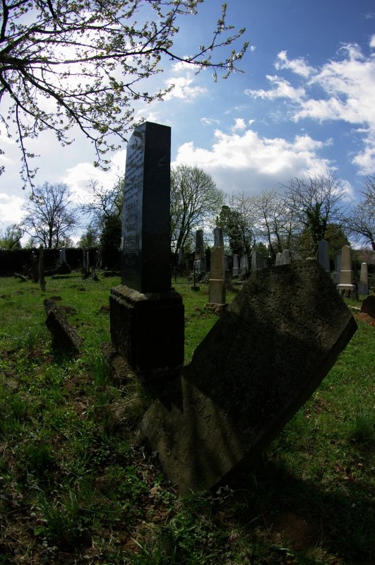 IMGP7876
