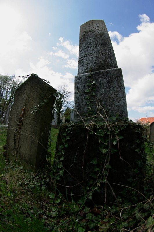IMGP7877