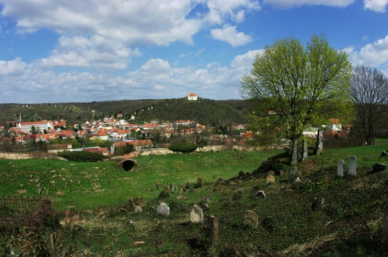 IMGP7878