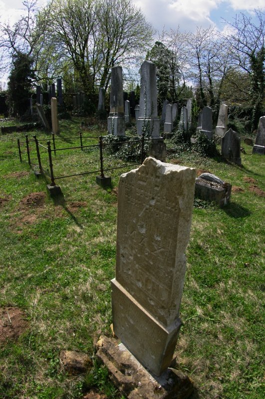 IMGP7879