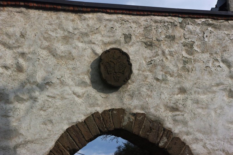 IMGP7881