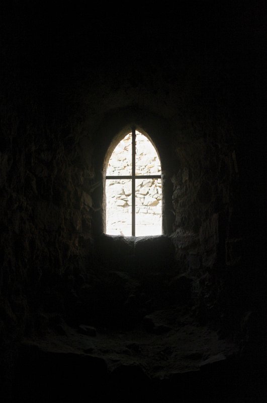 IMGP7884