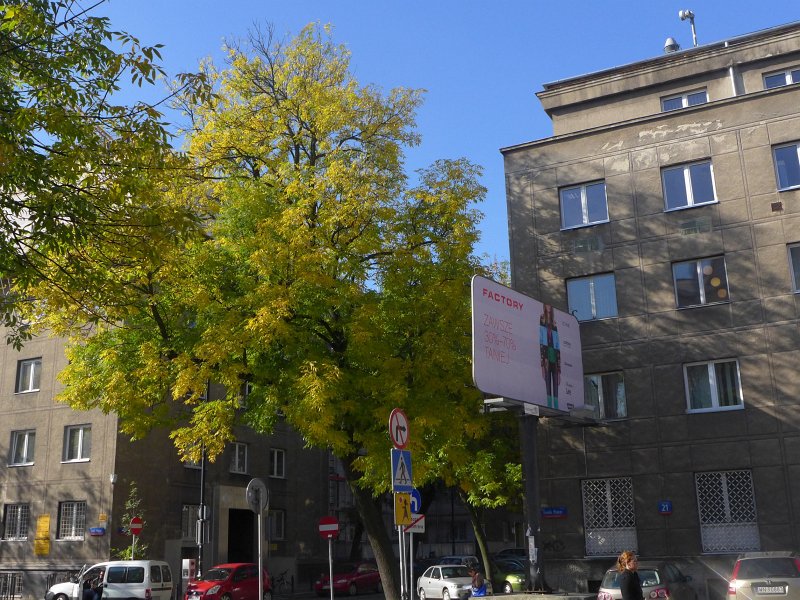 P1050649