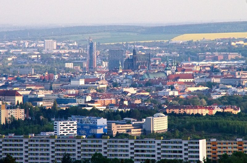 IMGP2907