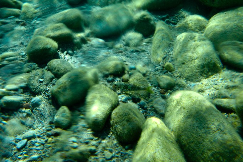 P1160778
