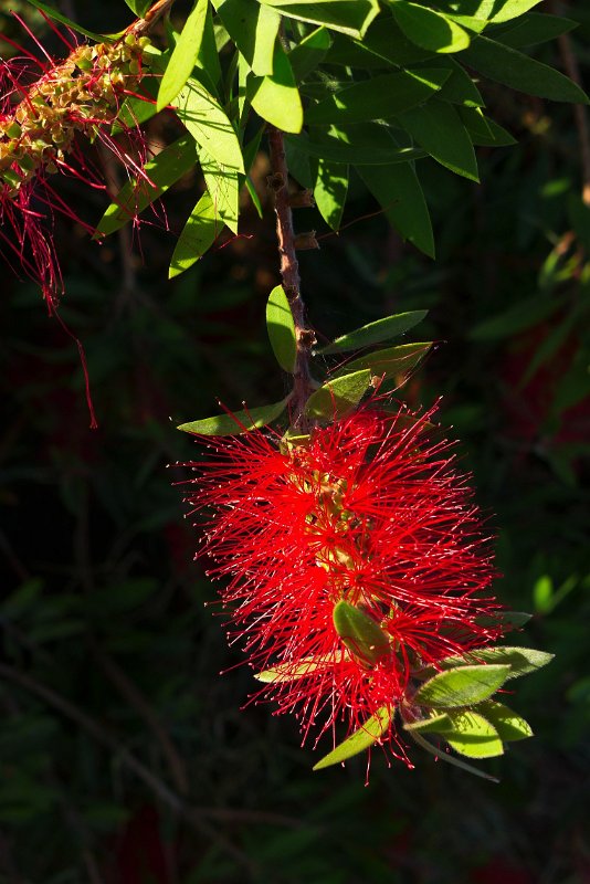 P1160821