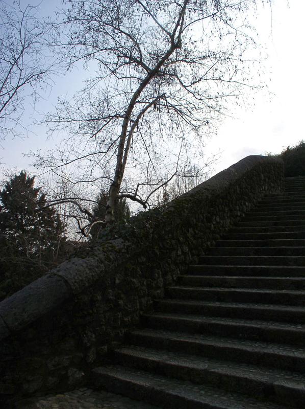 P3030039