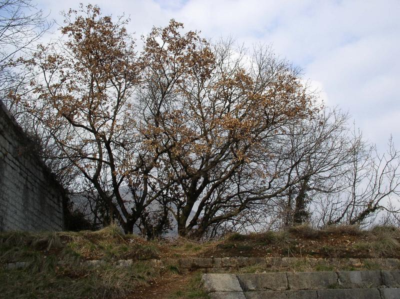 P3030049