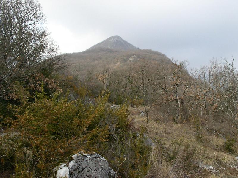 P3030066