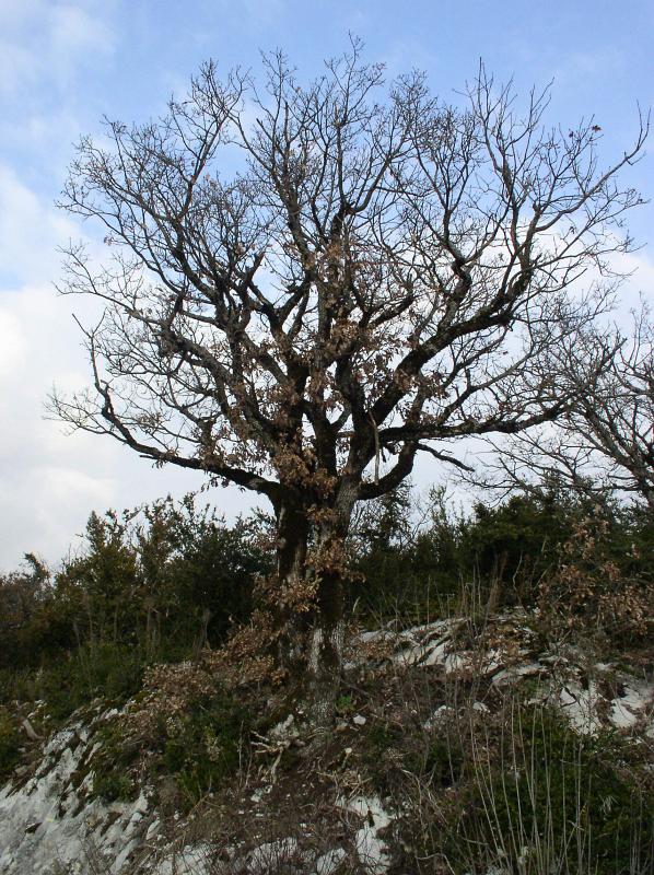 P3030098