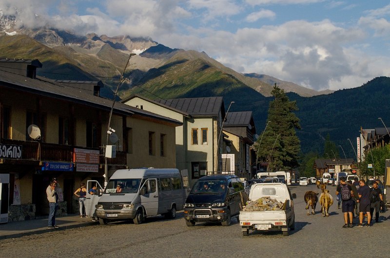 IMGP5732_s