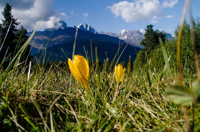 IMGP5841_s